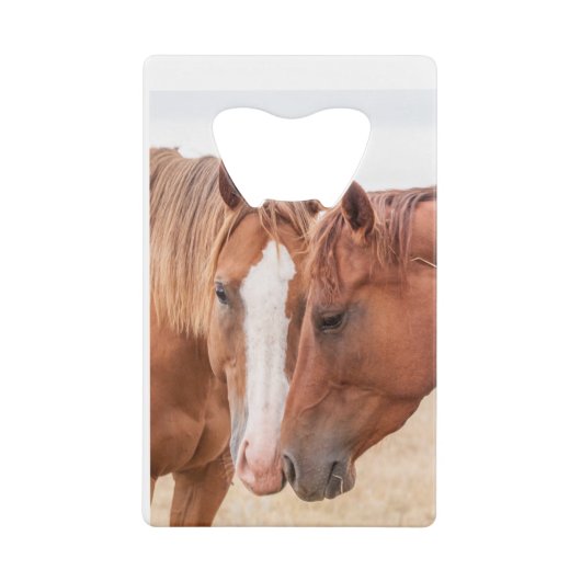 牧草地で生い茂る馬 クレジットカード栓抜き (正面)