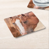 牧草地で生い茂る馬 スクエアペーパーコースター (アングル)