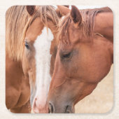 牧草地で生い茂る馬 スクエアペーパーコースター (正面)