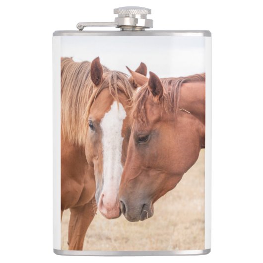 牧草地で生い茂る馬 フラスク (正面)