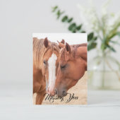 牧草地で生い茂る馬 ポストカード (スタンド正面)