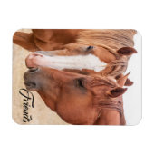 牧草地で生い茂る馬 マグネット (横)