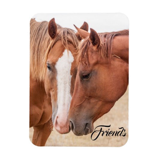 牧草地で生い茂る馬 マグネット (縦)