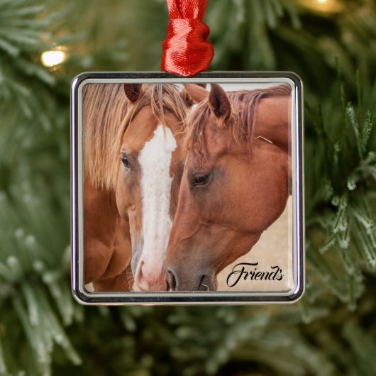 牧草地で生い茂る馬 メタルオーナメント (ツリー)