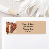 牧草地で生い茂る馬 ラベル (インサイチュ)