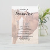 牧草地で生い茂る馬 招待状 (スタンド正面)