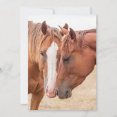 牧草地で生い茂る馬 招待状 (裏面)