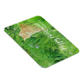 牧草地で眠るジンジャネコ マグネット (右側)