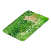 牧草地で眠るジンジャネコ マグネット (左側)