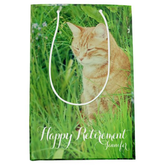 牧草地で眠るジンジャネコ ミディアムペーパーバッグ (正面)