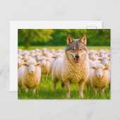 牧草地で羊の間に隠れた狼 シーズンポストカード (正面/裏面)