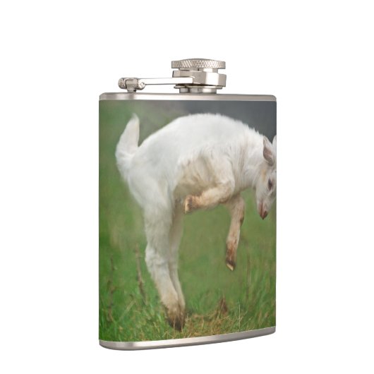 牧草地で跳んでいるおもしろいなヤギのベビーの白いヤギ フラスク (右)