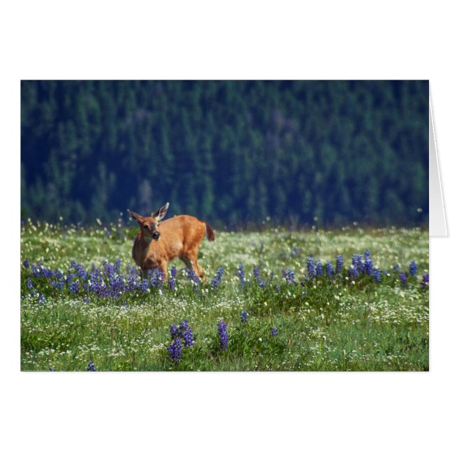 牧草地で (正面横)