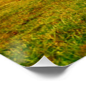 牧草地で2頭の馬が放牧 ポスター (コーナー)