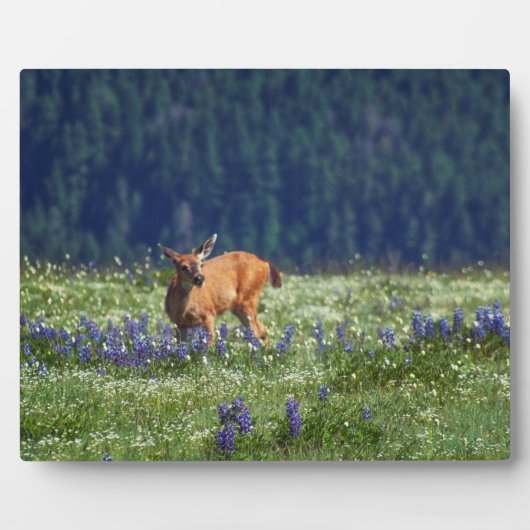 牧草地で フォトプラーク (正面)