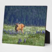 牧草地で フォトプラーク (側面)