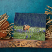 牧草地で フォトプラーク (側面)