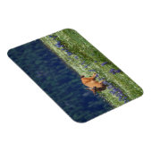 牧草地で マグネット (右側)