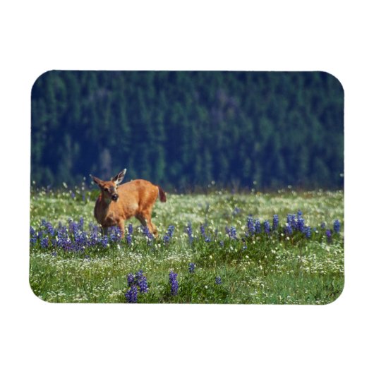 牧草地で マグネット (横)