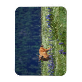 牧草地で マグネット (縦)