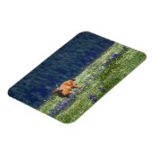 牧草地で マグネット (左側)