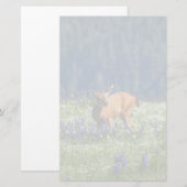 牧草地で 便箋 (正面/裏面)