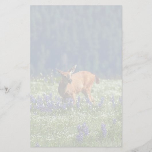 牧草地で 便箋 (正面)