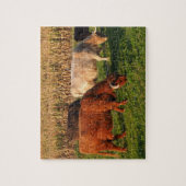 牧草地にあるスコットランド高地の牛 ジグソーパズル (縦)