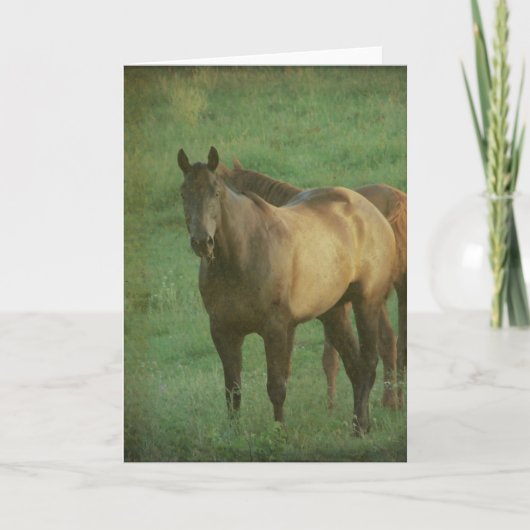 牧草地に二頭の馬すべての行事 カード (正面)
