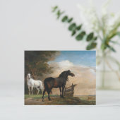 牧草地に二頭の馬 ポストカード (スタンド正面)