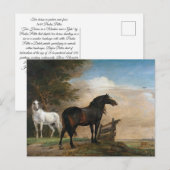 牧草地に二頭の馬 ポストカード (正面/裏面)