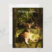 牧草地に住む考え若い男 ポストカード (正面/裏面)