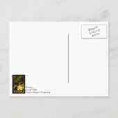 牧草地に住む考え若い男 ポストカード (裏面)