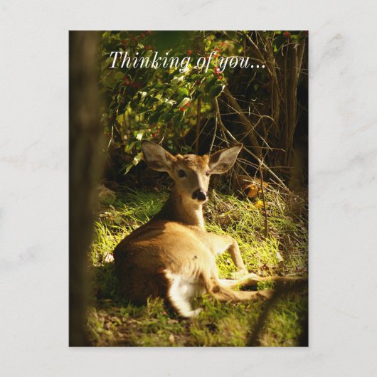 牧草地に住む考え若い男 ポストカード (正面)