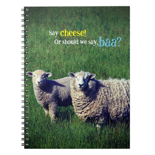 牧草地に子羊がいる羊 ノートブック (正面)