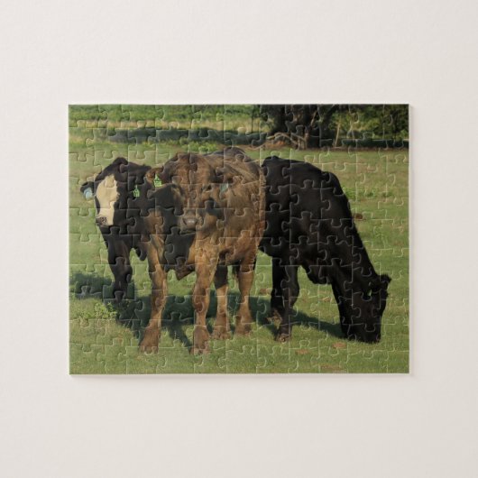 牧草地に棲む三頭のカンザス牛 ジグソーパズル (横)