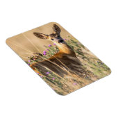 牧草地に生息するイシノシカ マグネット (右側)