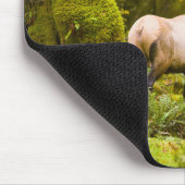 牧草地に立つ雄のルーズベルトエルク マウスパッド (コーナー)