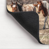 牧草地に美しい馬 マウスパッド (コーナー)