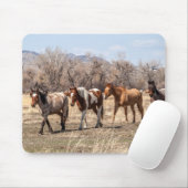 牧草地に美しい馬 マウスパッド (マウス)
