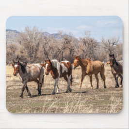 牧草地に美しい馬 マウスパッド