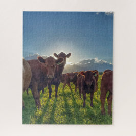 牧草地に茶色の牛 ジグソーパズル