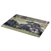 牧草地のまな板のアンガス黒い牛 カッティングボード (角)