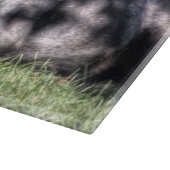 牧草地のまな板のアンガス黒い牛 カッティングボード (角)