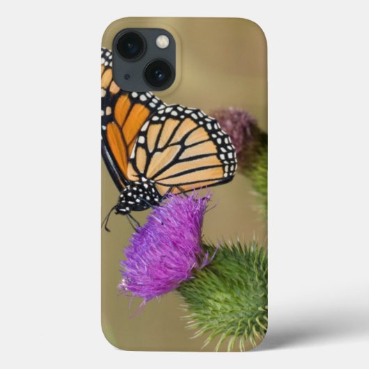 牧草地のアザミの草原リッジの(昆虫)オオカバマダラ、モナーク Case-Mate iPhoneケース (裏面)