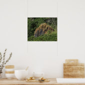 牧草地のカンザスレッドサンドストーン ポスター (キッチン)