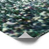 牧草地のヒバリ ポスター (角)