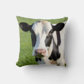 牧草地のホルスタイン・ハイファー クッション (正面)