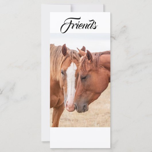 牧草地の中で裸馬の座席表 (正面)