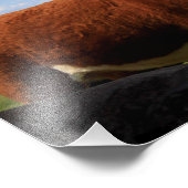 牧草地の中のカンザスカウズの写真の拡大 フォトプリント            (角)